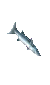 Item 0x44C3 barrakuda.png