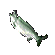 Item 0x09CC lin.png