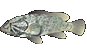 Item 0xB099 sum.png