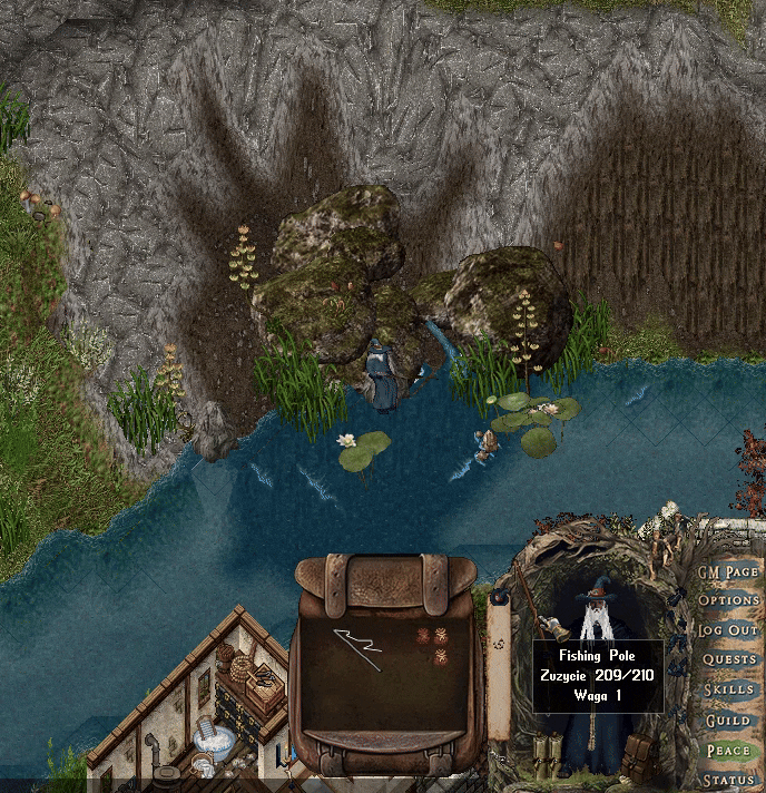 Fishing1.gif