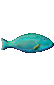 Item 0xA69E papugoryba.png