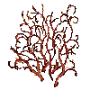 Item 0xB941.png