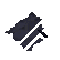 Strong spider 2.png